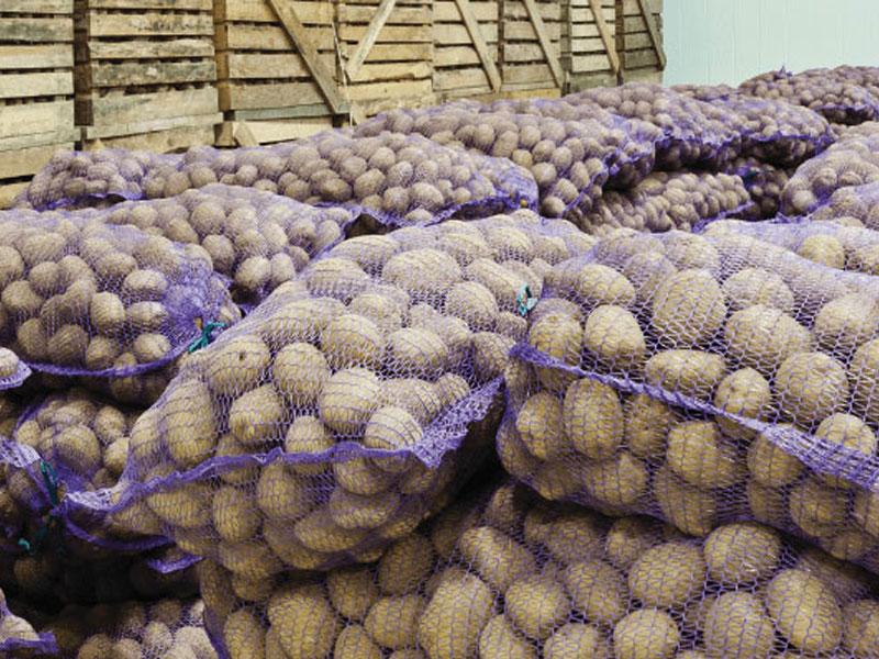 Patates & Soğan Havalandirma Ve Depolama